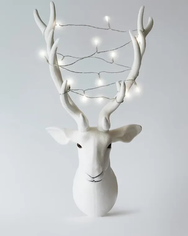Lumières de Noël