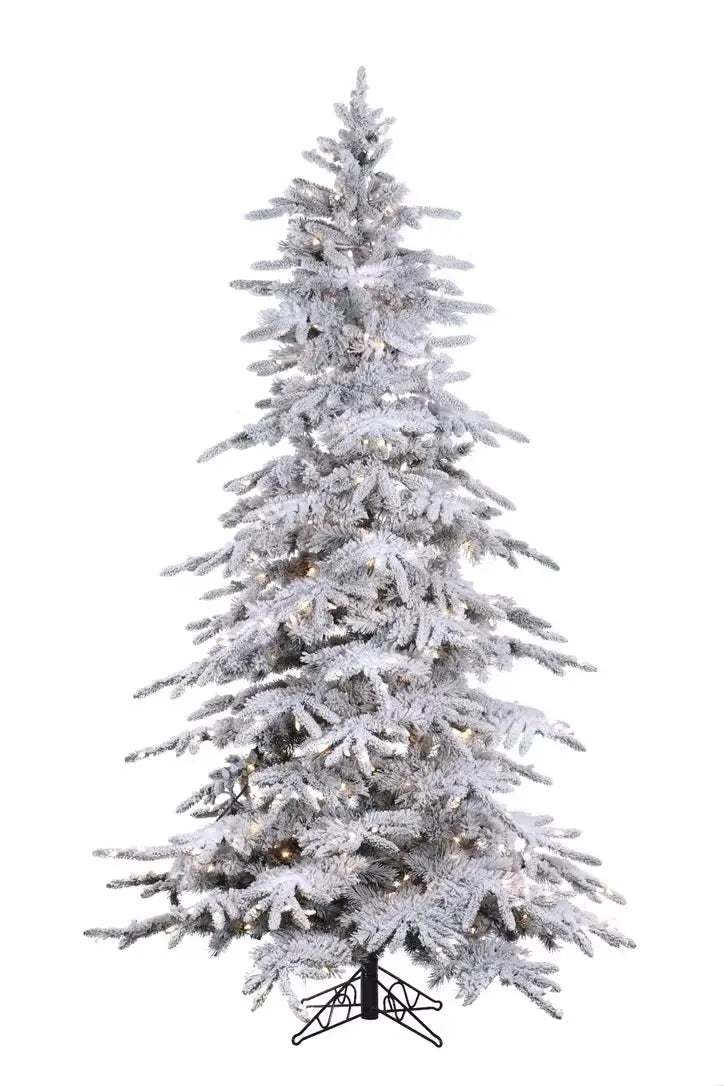 christmas tree balsam