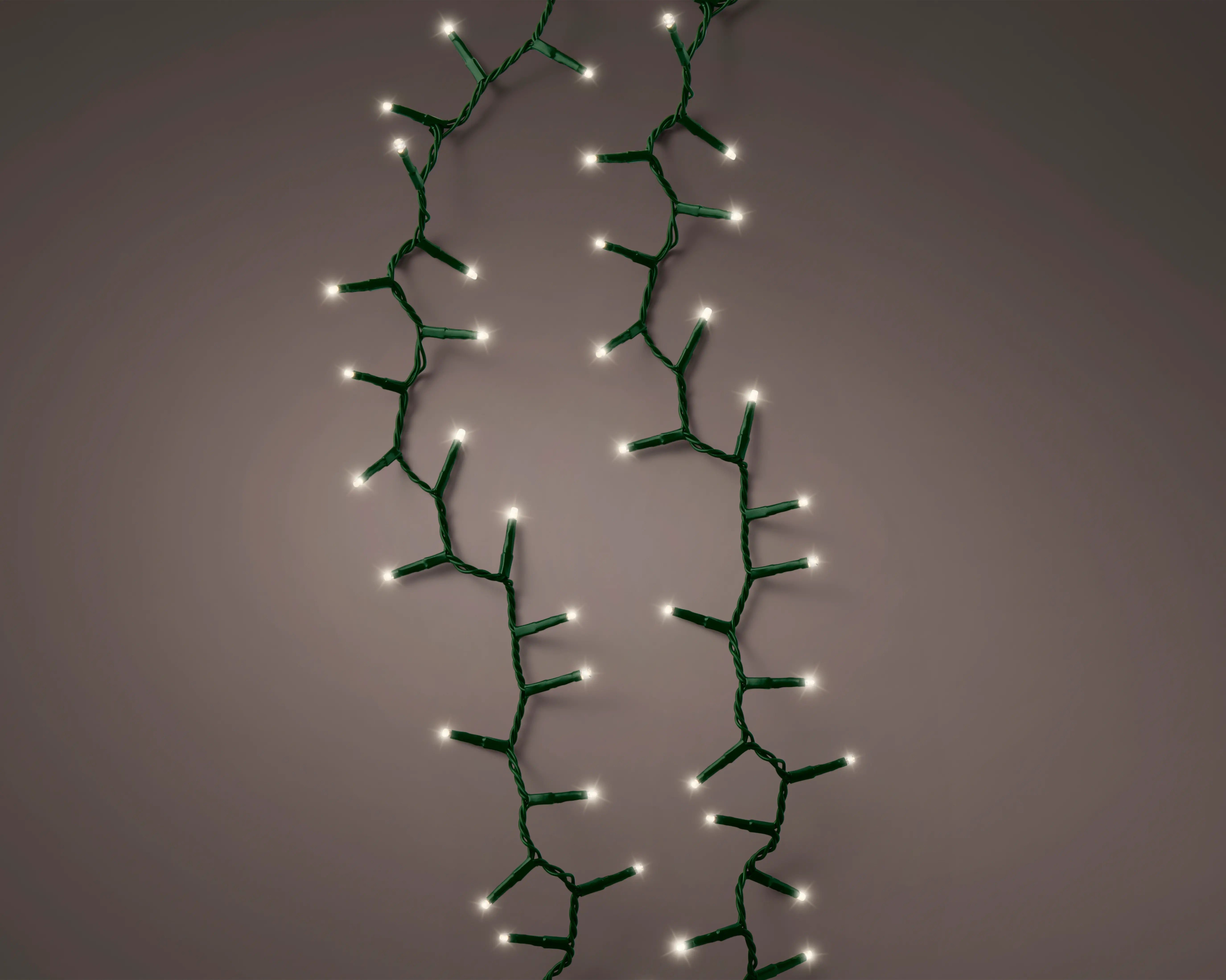 Lumineo warm white on green
